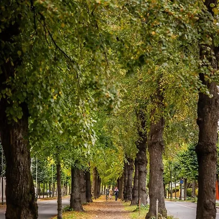 Apartment Stylish At Frogner